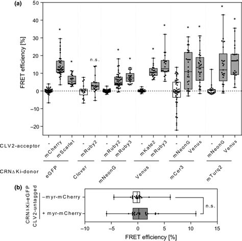 fret efficiencies    fret pairs tested fret efficiencies