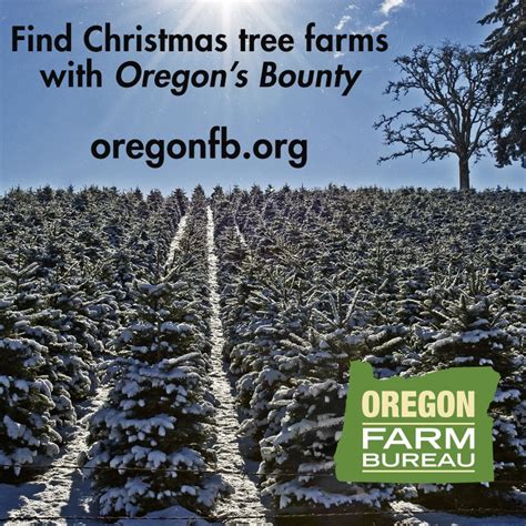 Oregon Forestry Ordeptforestry Twitter