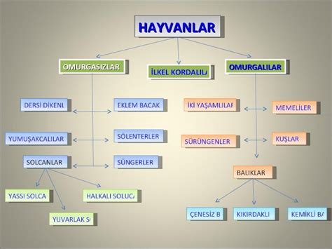 Pdf Hayvanlar Kavram Har Tasi Dokumen Tips