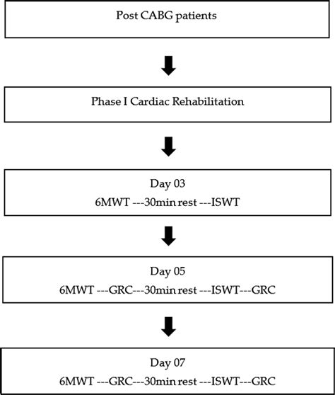 Figure 1 From Clinically Meaningful Change In 6 Minute Walking Test And