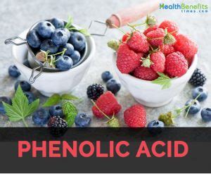 Phenolic acids Facts | Nutrition