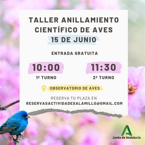 Parque Del Alamillo El Alamillo Organiza Para El D A De Junio El