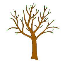 Tree Trunk Template - ClipArt Best