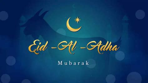 Eid Mubarak Wishes In Hindi Eid Ul Adha Wishes Images Free Download