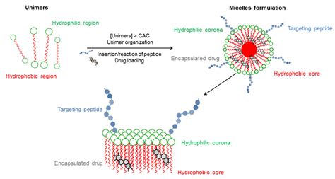 Select All Of The Properties Of Micelles