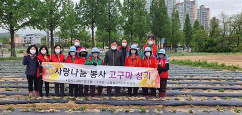 포천시 소흘읍주민자치위 이웃돕기 기금마련 고구마 심기 행사