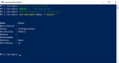 A Quick Guide To Set Variables In PowerShell SharePoint Diary