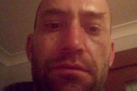 Pervert On Crystal Meth Sex Rampage Bonked School Sheep In Front Of Traumatised Goat Daily Star