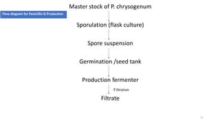 Introduction to Fermentation, and production of penicillin and ...