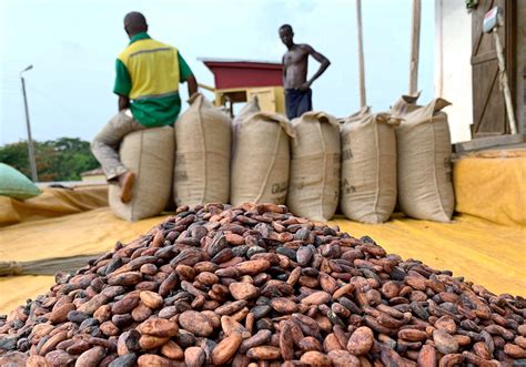 Traders face $1 bln loss on faltering Ghana cocoa supply | Reuters Best