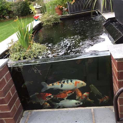 8 Backyard Koi Pond Ideas | Family Handyman