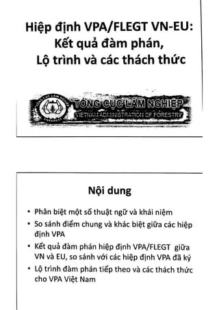 FLEGT VPA 8 April 2015 Nguyen Tuong Van PDF