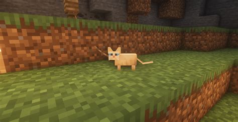 Cuter Cats Minecraft Texture Pack