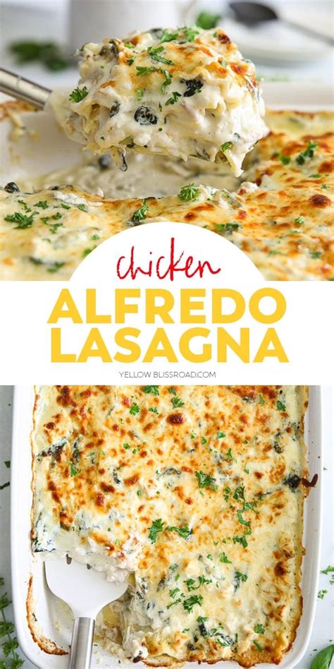 Easy Chicken Alfredo Lasagna Chicken Lasagna