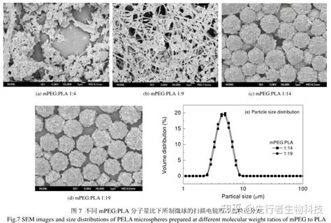 快速膜乳化法制备尺寸均一pela多孔微球及其孔径调控 知乎
