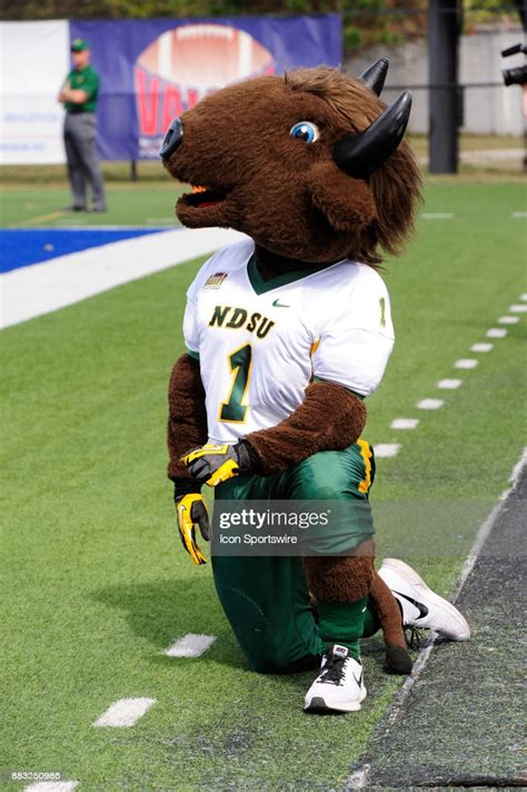 Thundar North Dakota State University Bison Mascot Kneels Outside The