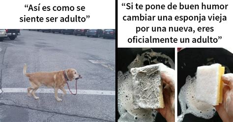 Memes Para Adultos