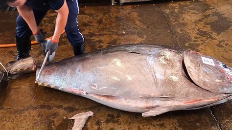 Top Cutting Skills For Quickly Cutting Giant Bluefin Tuna In Minutes