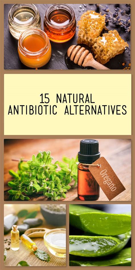 15 Natural Antibiotic Alternatives The Grow Network Natural