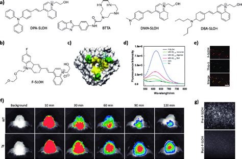 A Molecular Structures Of Theranostic Probes For A Aggregates B