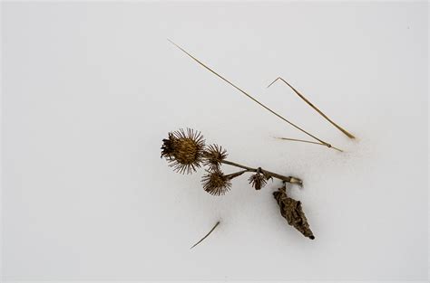 Nonstop Photos | Сергей Зоммер / IMGP5909