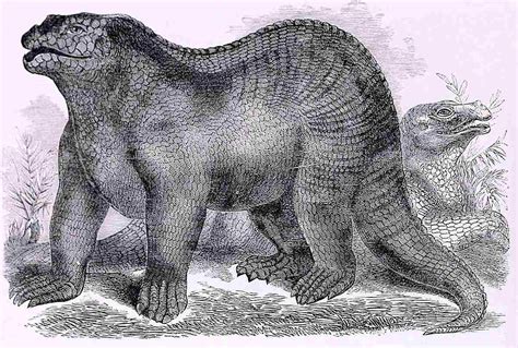 10 Lesser Known Facts About Iguanodon