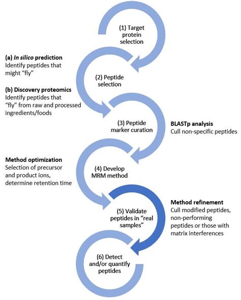 Generic Workflow For The Development Of The LC MRM MS Method At Each