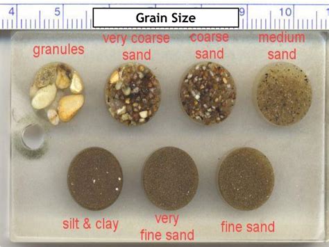 Ppt Sedimentary Rocks Powerpoint Presentation Free Download Id2147181