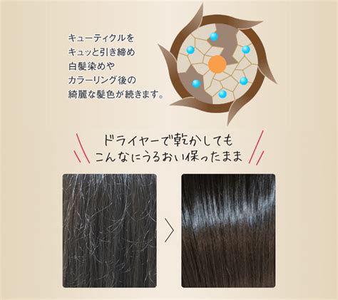 ヘアージュ（hairju）ボタニカルスパークリングシャンプーの口コミで白髪染め効果や解約方法を調べてみました ジョニラボ