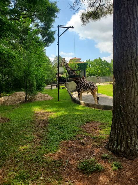 Baton Rouge Zoo {Know Before You Go} – Northshore Parent