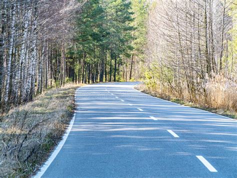 Carretera Asfaltada Con Marcas En El Bosque Imagen De Archivo Imagen