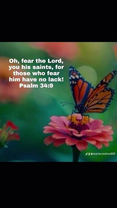 June 12 2024 Psalm 34 9🎚️o Fear The Lord 🙏🏼🙏🏼🙏🏼🙏🏼🎚️🕊️🕊️ Youtube