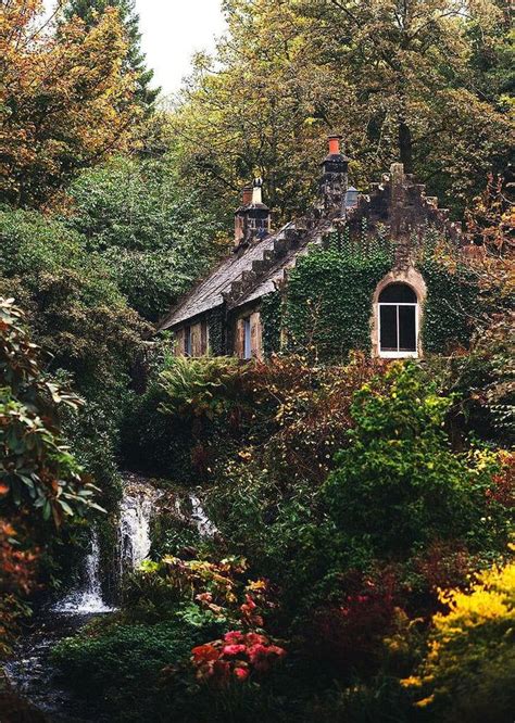 Small Cozy Cottage Surrounded By Nature Cozy Comfy Cottage