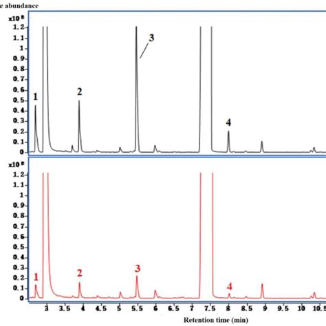 Typical Gc Ms Chromatography Of Faeces Spiked With Standard Mixture Download Scientific Diagram