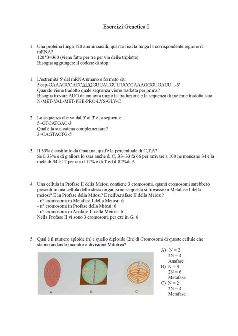 Esercizi Genetica Spiegati Esercizi Di Genetica Docsity