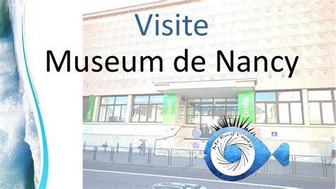 Visite du Muséum Aquarium de Nancy Mr Recif Captif 318 YouTube