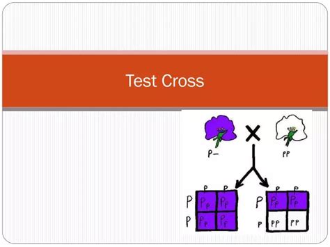 PPT - Test Cross PowerPoint Presentation, free download - ID:2160134