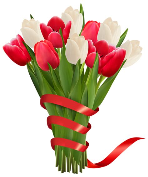 White and Red Tulips with Ribbon PNG Clipart Image | Gallery ...