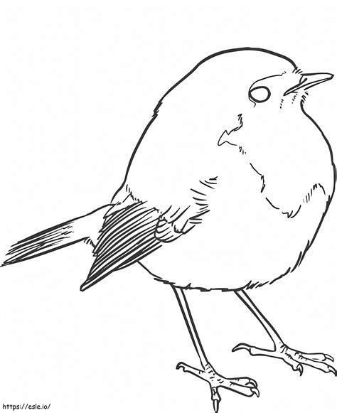 Cute Sparrow coloring page