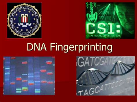 Dna Fingerprintingppt