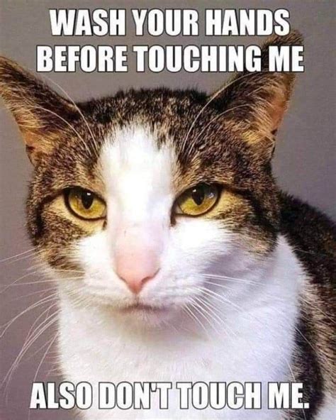 Wash your hands before touching me. Also don't touch me. #Meme #Memes # ...