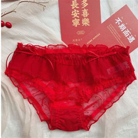 Women S Panties Knickers Lingerie Lace See Through Briefs Mesh Sexy