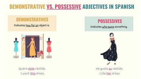 Spanish Possessive Adjectives A Simple Definitive Guide