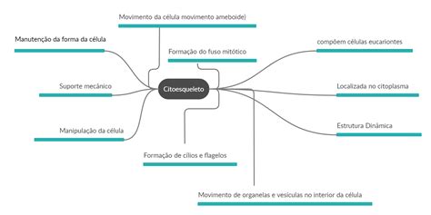 Mapa Mental Citoesqueleto Dayan Suzan Biologia Celular The Best Porn