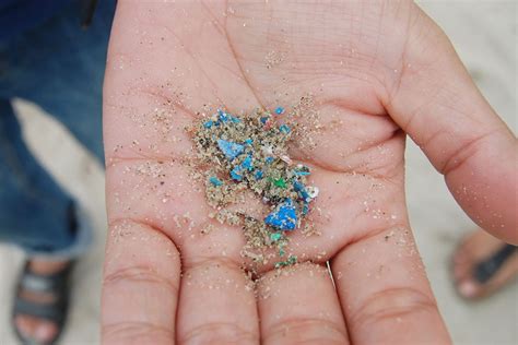 How Many Microplastics Are In Your Body An Insight Into Lifetime Accumulation Oceanbites