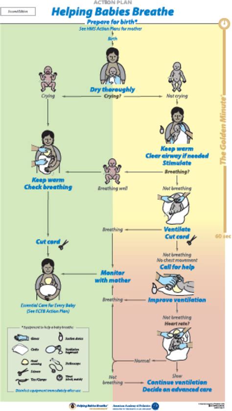 Beyond Basic Resuscitation What Are The Next Steps To Improve The