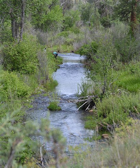 Burns Paiute Tribal Properties - Oregon Natural Desert Association