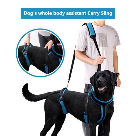 Dog Support Harness Full Body Dog Lift Harness With Handle And Shoulder