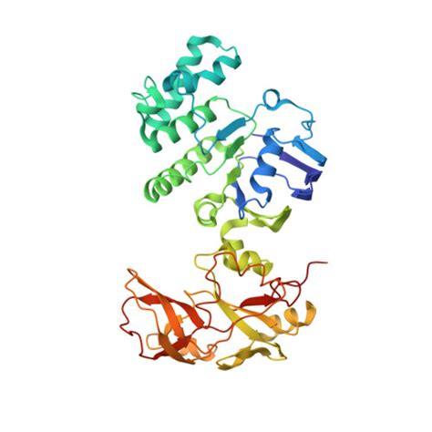 Rcsb Pdb Ja Cryo Em Structure Of Mycobacterium Tuberculosis Lpqy