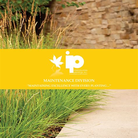 Families are sharing the latest elkins wv intermountain obituaries online today 3